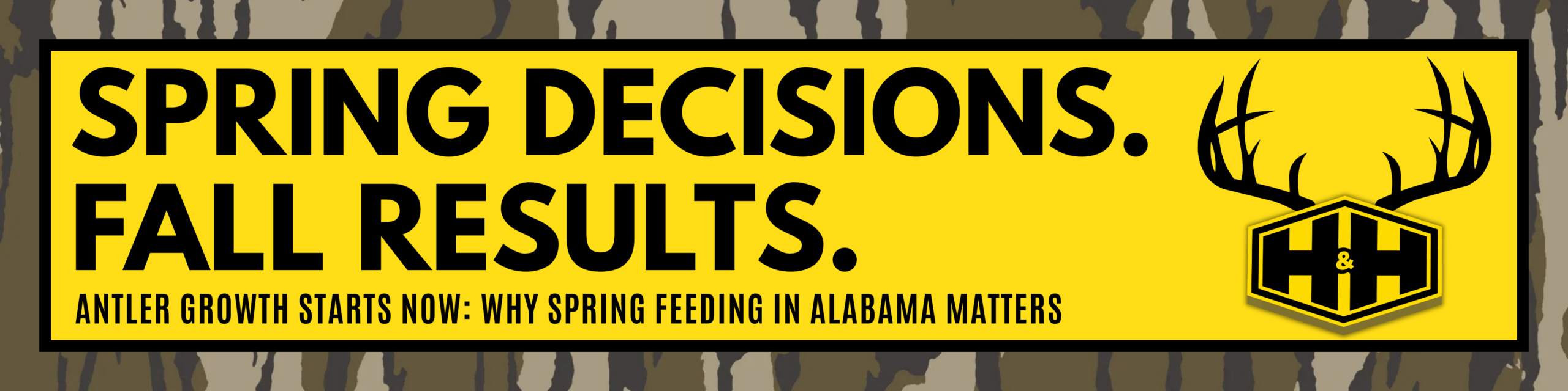 Antler growth starts now — spring deer feeding in Alabama